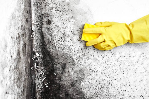 Water Damage Restoration in Bull Run Mountain Estates, VA