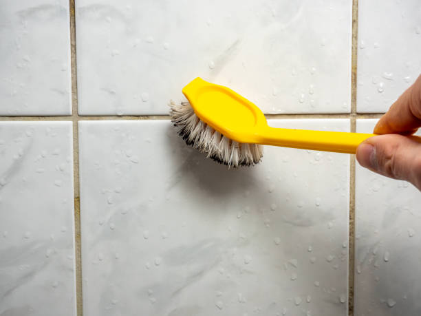 Mold Removal Process in Bull Run Mountain Estates, VA