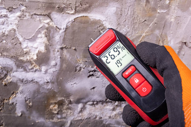 Best Crawl Space Mold Removal  in Bull Run Mountain Estates, VA
