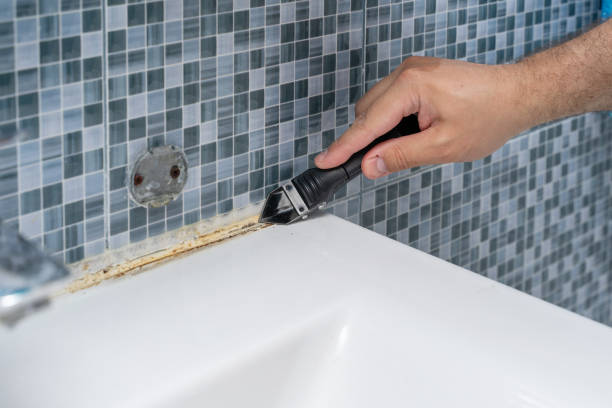 Best Office Mold Removal Services  in Bull Run Mountain Estates, VA