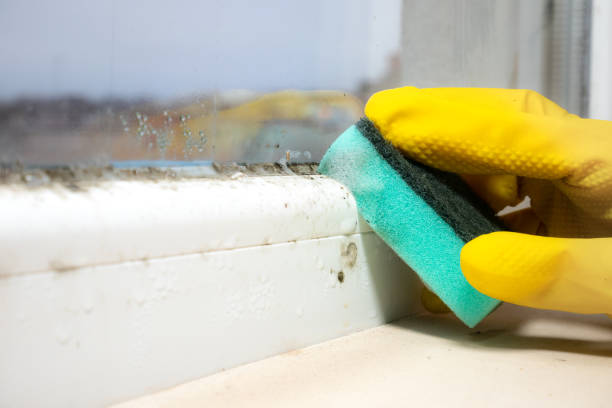 Trusted Bull Run Mountain Estates, VA Mold Removal Experts