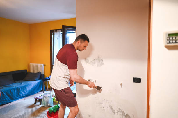 Best Best Mold Removal Companies  in Bull Run Mountain Estates, VA