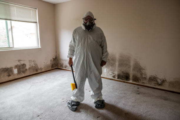 Best Emergency Mold Removal  in Bull Run Mountain Estates, VA