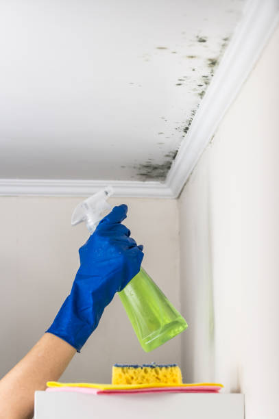 Best Emergency Mold Removal  in Bull Run Mountain Estates, VA